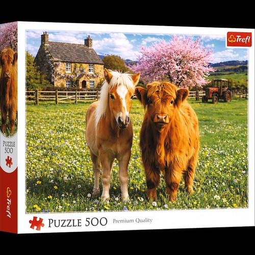 Puzzle trefl 500 - 500, freunde