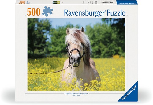 500 teile ravensburger puzzle - 500,
