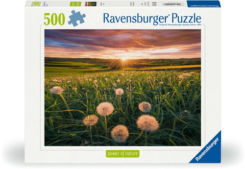 500 teile ravensburger - 500, puzzle